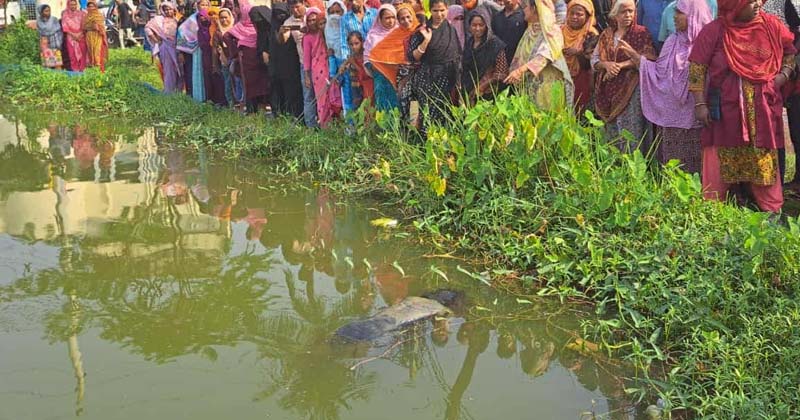 নারীর লাশ ভাস‌ছিল কু‌ষ্টিয়া জেনা‌রেল হাসপাতালের পুকুরে