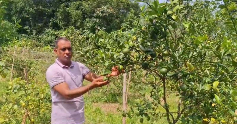 ছবি: প্রতিনিধি