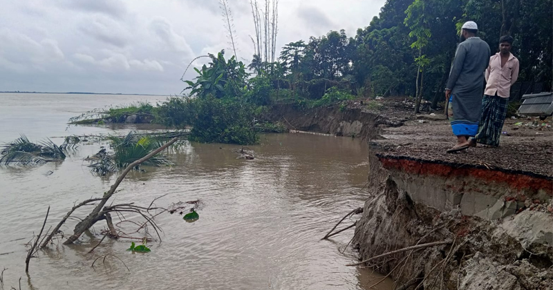 এভাবে শরীয়তপুরের জাজিরা উপজেলায় পদ্মা নদীর তীর রক্ষা বাঁধের দুই কিলোমিটার অংশ নদীতে বিলীন হয়ে যাচ্ছে।