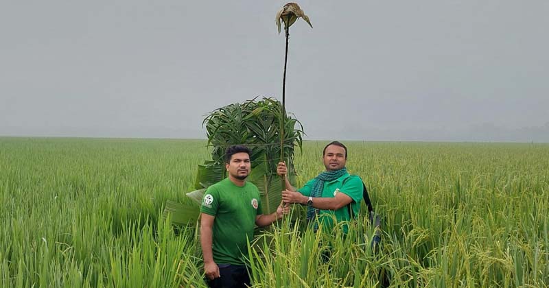ছবি: প্রতিনিধি