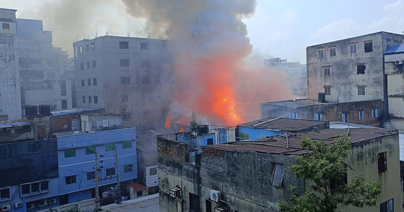 সংগৃহীত ছবি