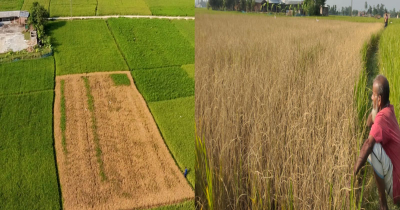 ছবি: প্রতিনিধি