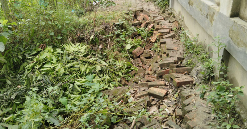 ছবি: প্রতিনিধি
