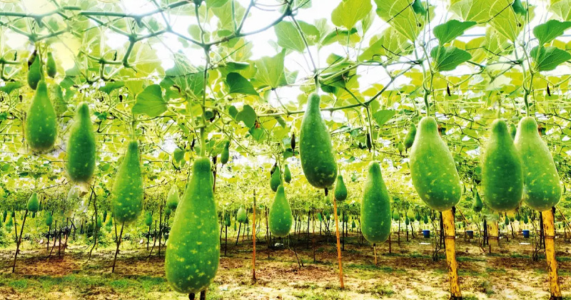 ছবি : খোলা কাগজ
