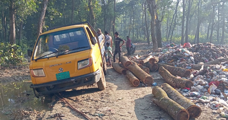 ছবি: প্রতিনিধি