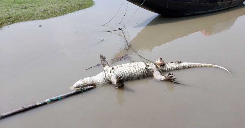ছবি: প্রতিনিধি