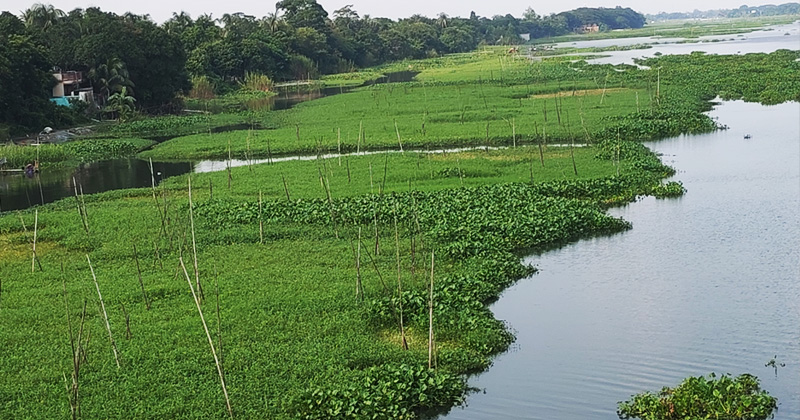 ছবি: প্রতিনিধি