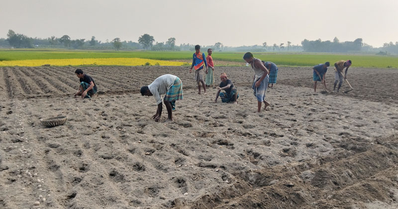 ছবি: প্রতিনিধি