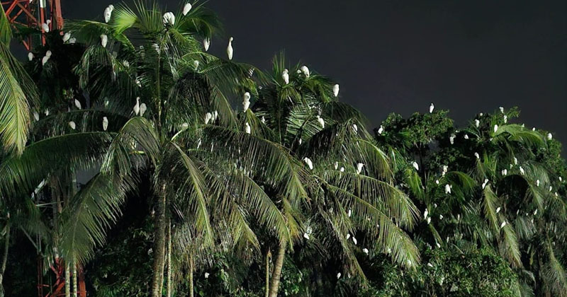 ছবি: প্রতিনিধি