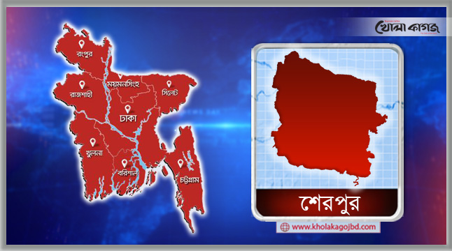 ফাইল ছবি