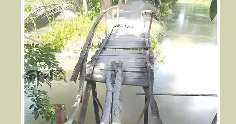 ছবি: প্রতিনিধি
