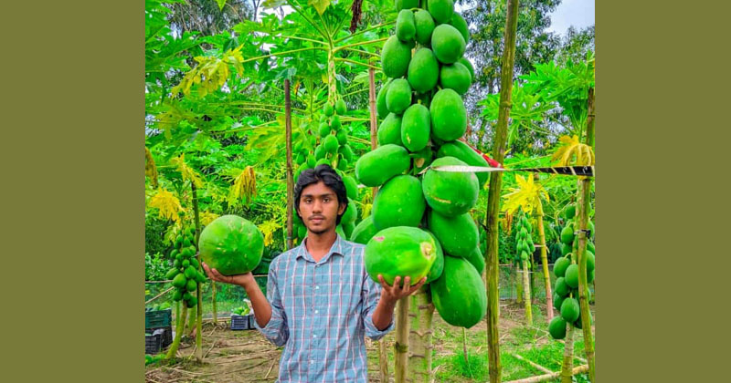 ছবি: প্রতিনিধি