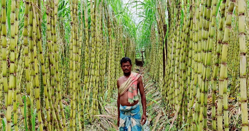 ছবি: প্রতিনিধি