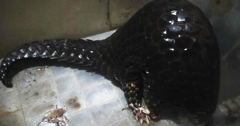 ছবি: প্রতিনিধি