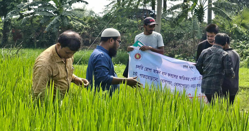 ছবি: প্রতিনিধি