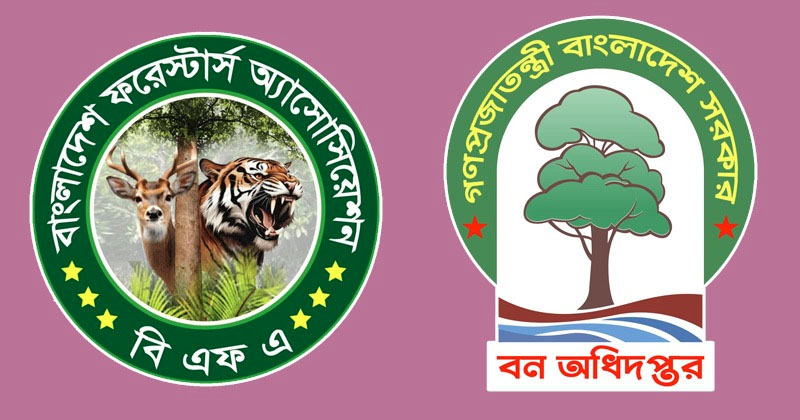 ছবি : খোলা কাগজ