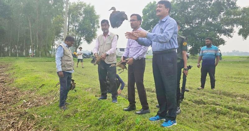 ছবি: প্রতিনিধি