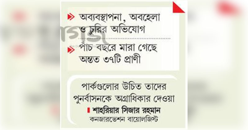 ছবি : খোলা কাগজ