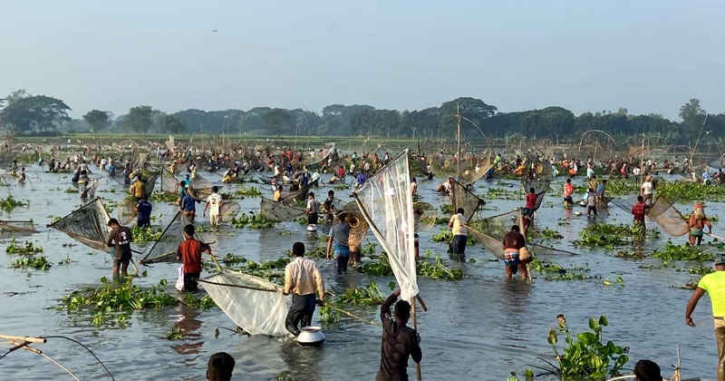 ছবি: প্রতিনিধি