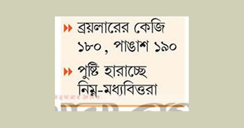 ছবি : খোলা কাগজ