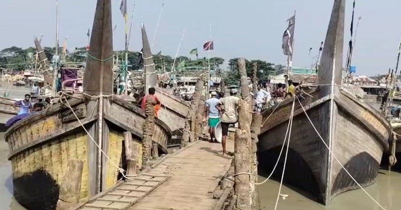 পটুয়াখালীতে জাটকা ইলিশ শিকারের উপর ৮ মাসের নিষেধাজ্ঞা
