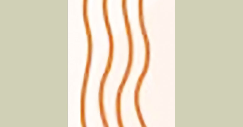 ছবি : খোলা কাগজ