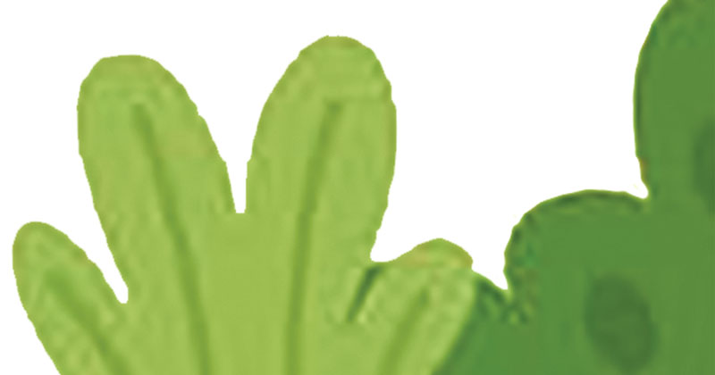 ছবি : খোলা কাগজ