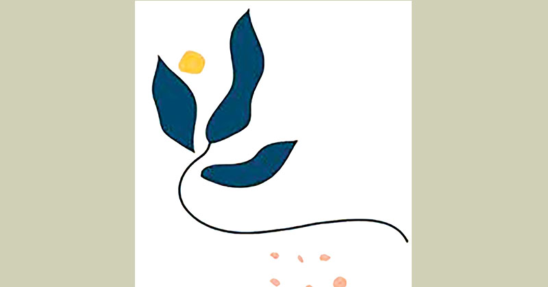 ছবি : খোলা কাগজ