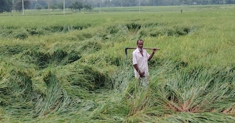 ছবি: প্রতিনিধি