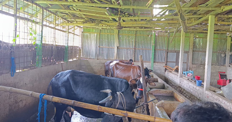 ছবি: প্রতিনিধি