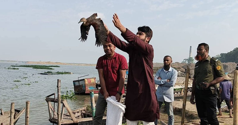 ছবি: প্রতিনিধি