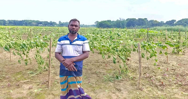 ছবি: প্রতিনিধি