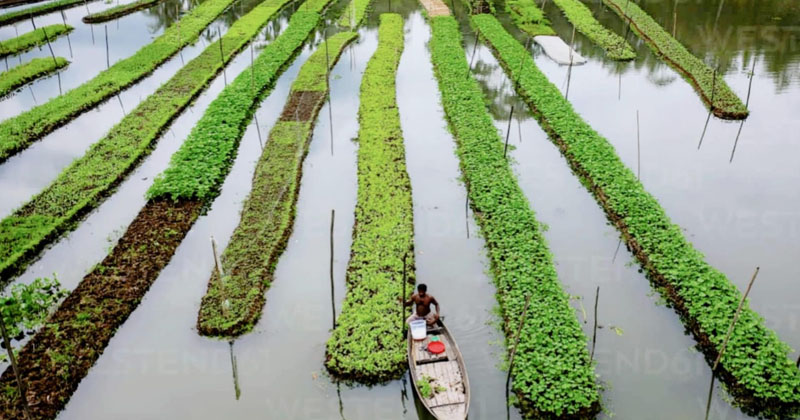ছবি: প্রতিনিধি