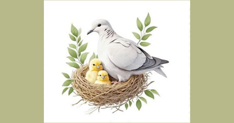 ছবি : খোলা কাগজ