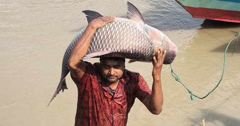 ছবি: প্রতিনিধি