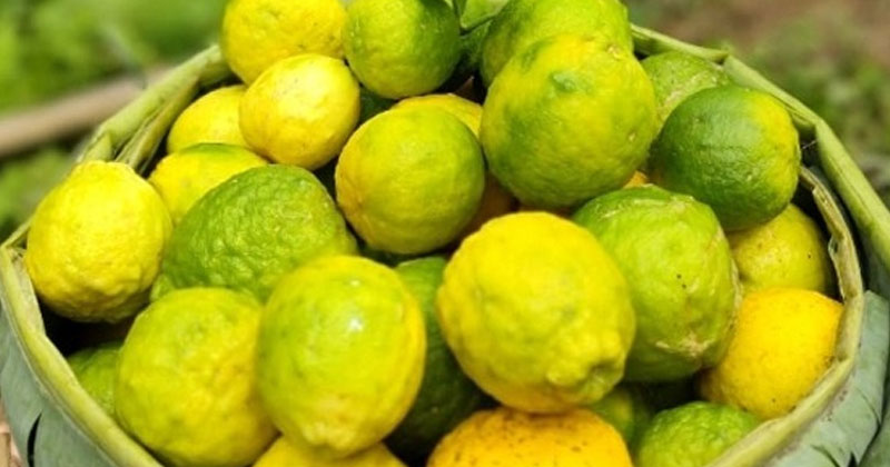 ছবি: প্রতিনিধি