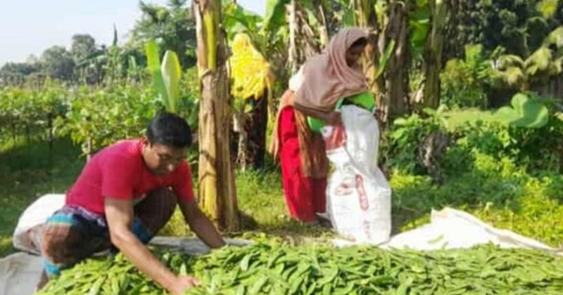 ছবি: প্রতিনিধি