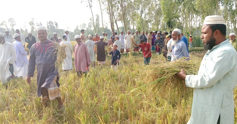 ছবি: প্রতিনিধি