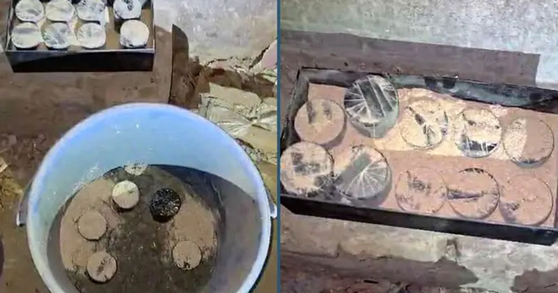 সংগৃহীত ছবি