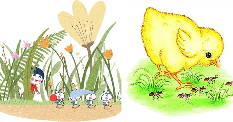 ছবি : খোলা কাগজ