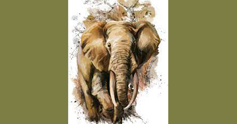 ছবি : খোলা কাগজ