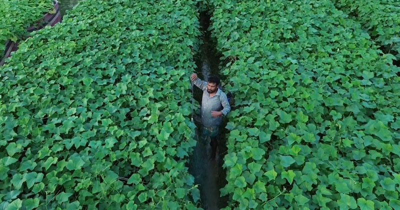 ছবি: প্রতিনিধি