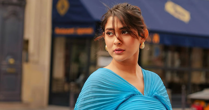 আত্মসমর্পণের পর জামিন পেলেন অভিনেত্রী মেহজাবীন