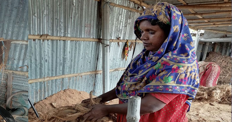 বিলকিস বেগম