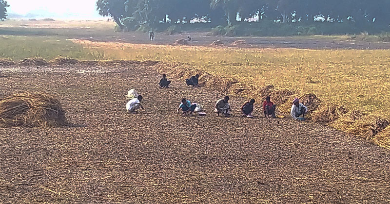 ছবি: প্রতিনিধি