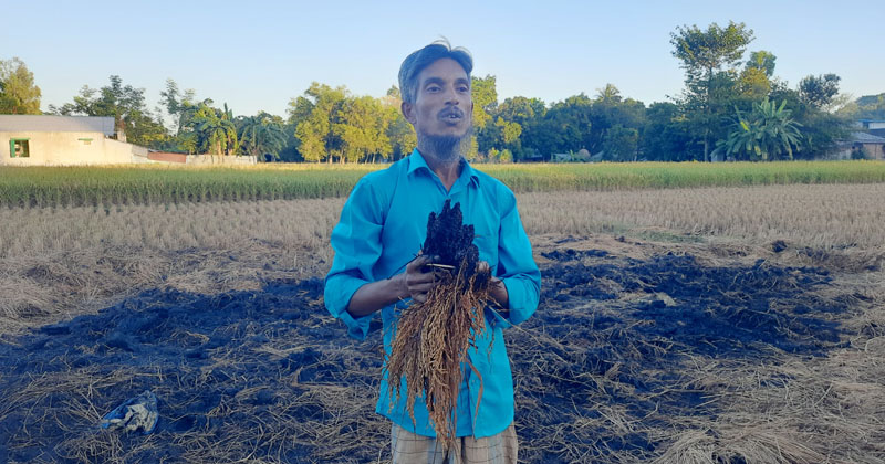 ছবি: প্রতিনিধি