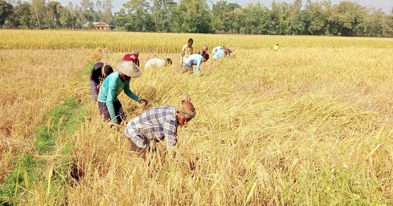 ছবি: প্রতিনিধি