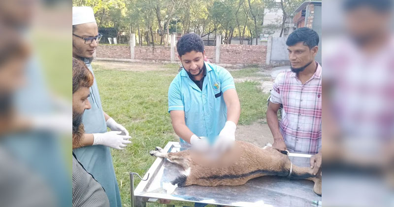 ছবি: প্রতিনিধি