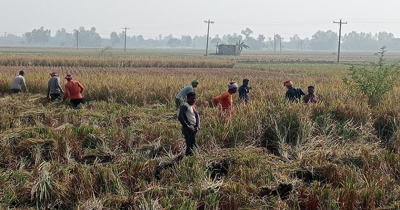 ছবি: প্রতিনিধি