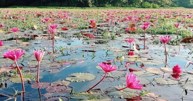 ছবি: প্রতিনিধি